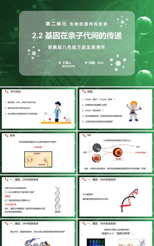 部编版八年级生物下册基因在亲子代间的传递课件PPT模板