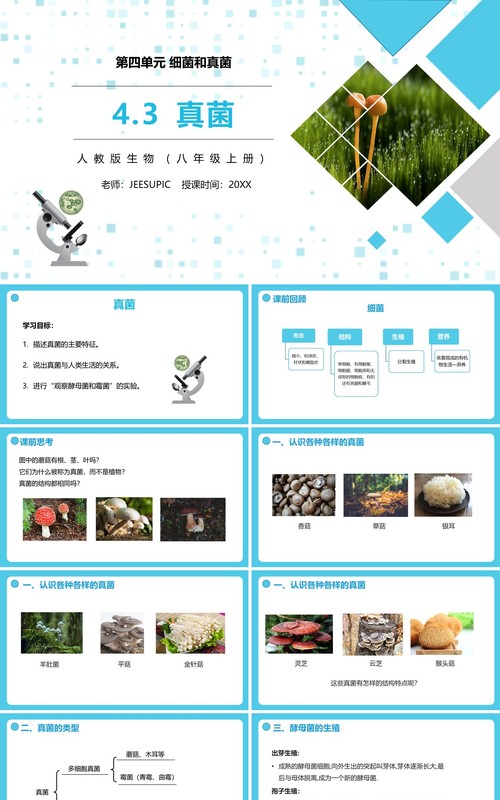 部编版八年级生物上册真菌PPT模板