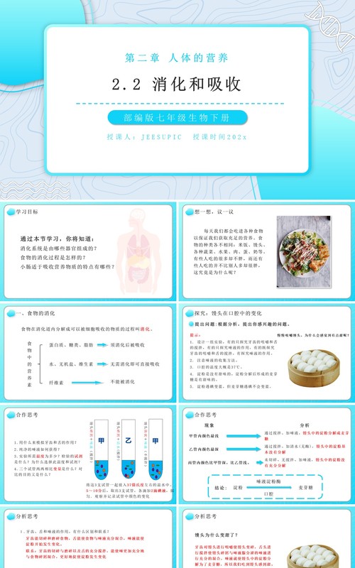 部编版七年级生物下册消化和吸收课件PPT教育课件模板