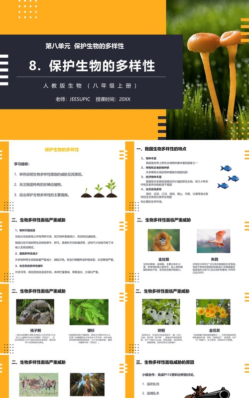 部编版八年级生物上册保护生物的多样性PPT模板