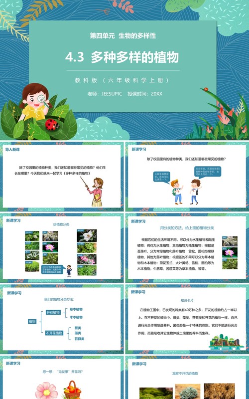 教科版六年级科学上册多种多样的植物PPT模板