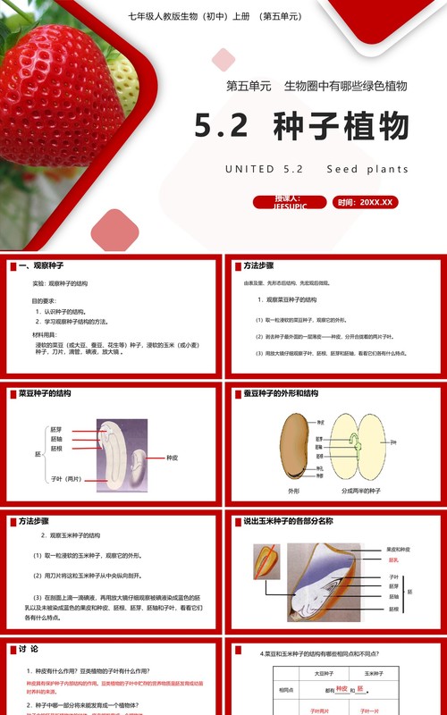 部编版七年级生物上册种子植物课件PPT模板
