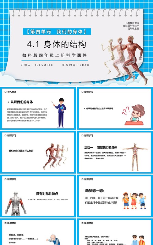 教科版四年级科学上册身体的结构课件PPT模板