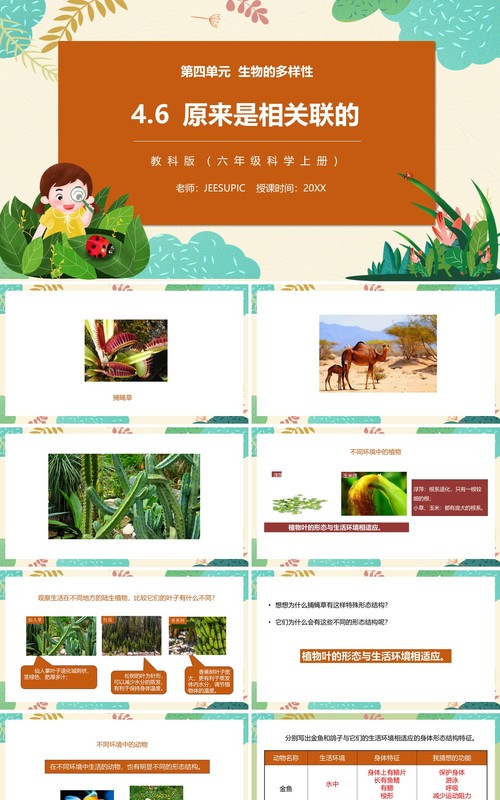 教科版六年级科学上册原来是相关联的PPT模板