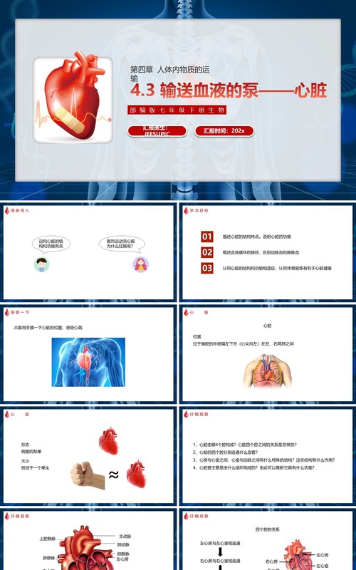 部编版七年级生物下册输送血液的泵——心脏课件PPT模板