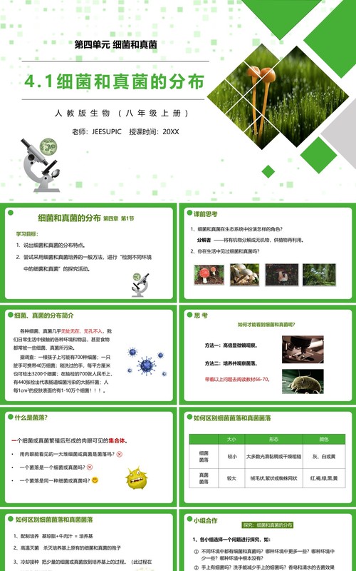 部编版八年级生物上册细菌和真菌的分布PPT模板