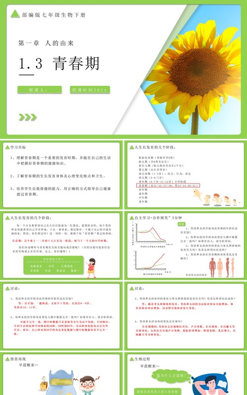 部编版七年级生物下册青春期课件PPT模板