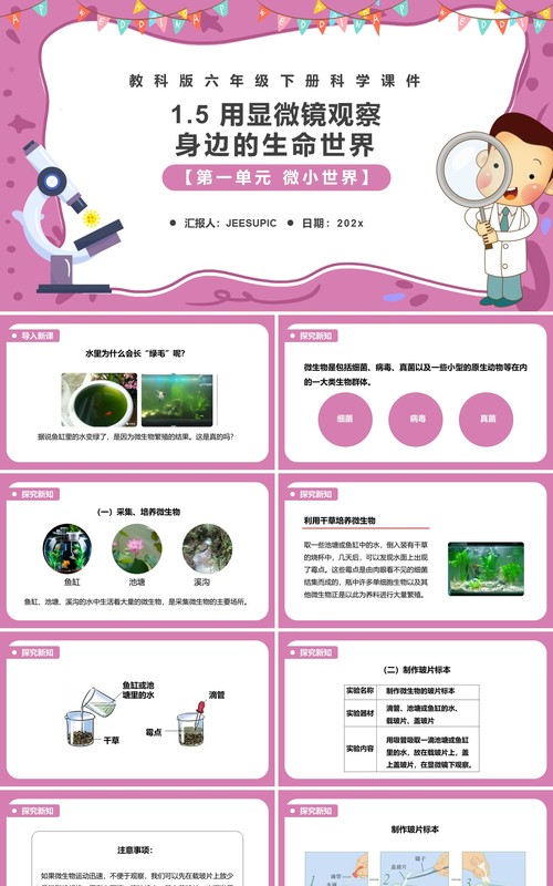 教科版六年级科学下册用显微镜观察身边的生命世界课件PPT模板