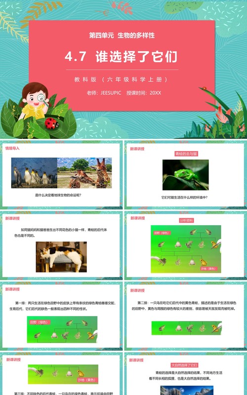 教科版六年级科学上册谁选择了它们PPT模板