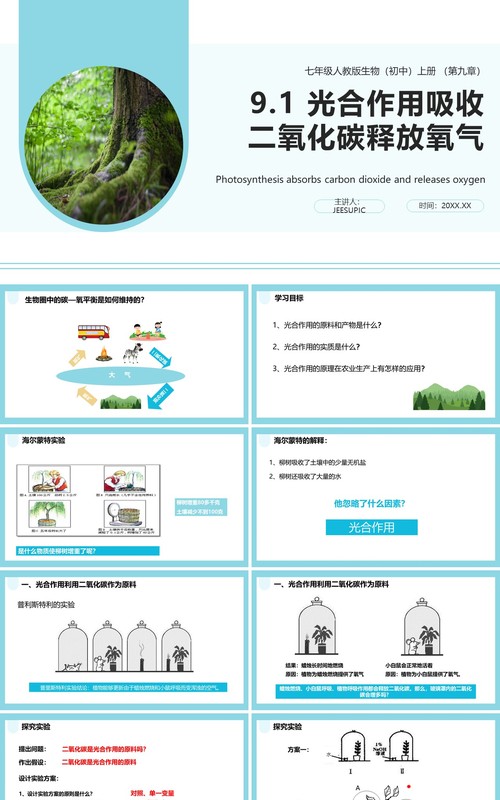 人教版七年级生物上册光合作用吸收二氧化碳释放氧气课件PPT模板