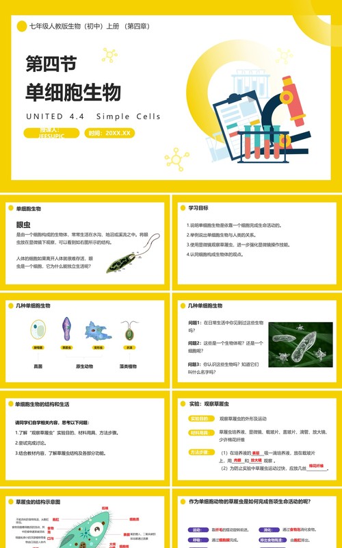 部编版七年级生物上册单细胞生物课件PPT模板