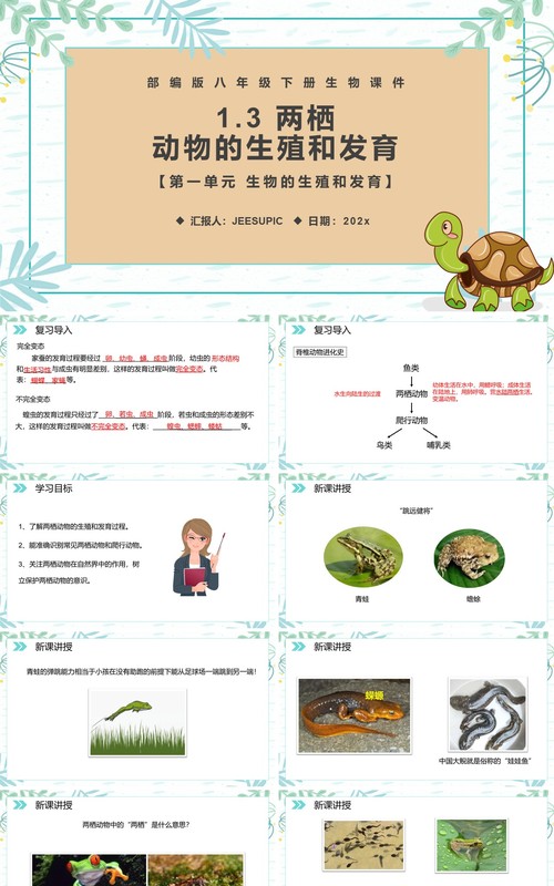 部编版八年级生物下册两栖动物的生殖和发育课件PPT模板