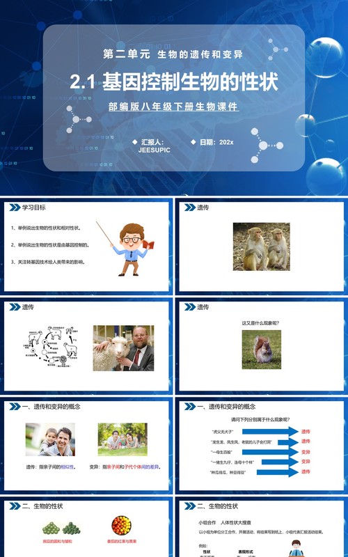 部编版八年级生物下册基因控制生物的性状课件PPT模板