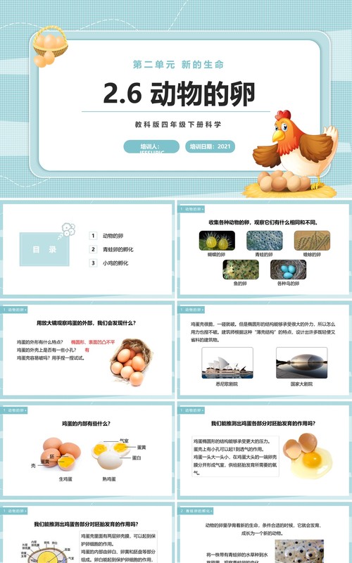 教科版四年级下册动物的卵课件PPT模板