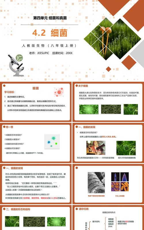 部编版八年级生物上册细菌PPT模板