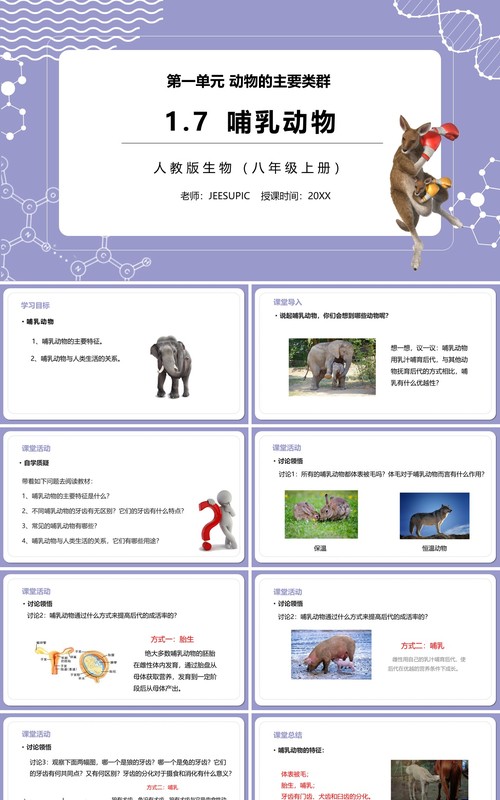 部编版八年级生物上册哺乳动物PPT模板