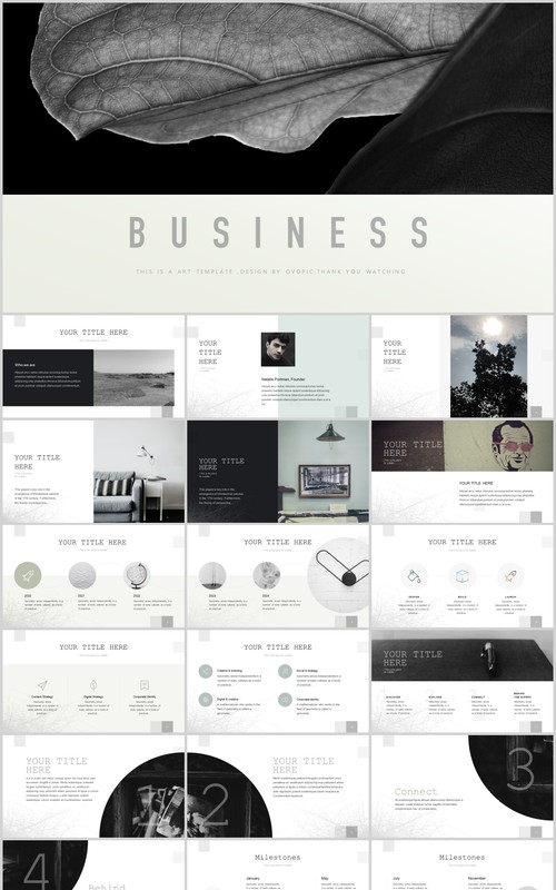 简洁商务工作报告总结PPT模板Business