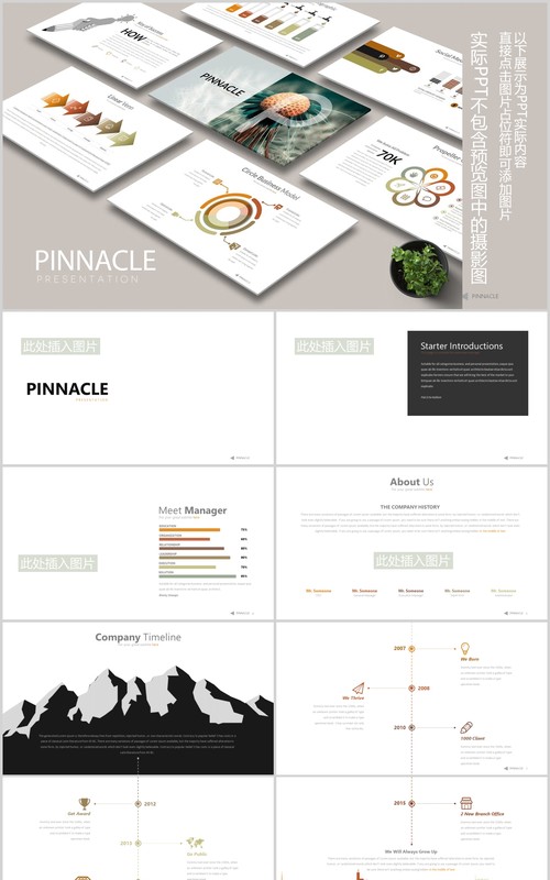 高端公司宣传介绍战略规划可视化时间轴图表PPT可插图排版模板PINNACLE Powerpoint