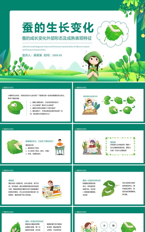 蚕的成长变化外部形态及成熟表现特征动态PPT模板