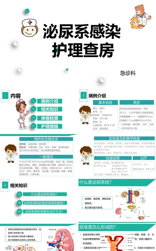 泌尿系感染护理查房医用PPT模板