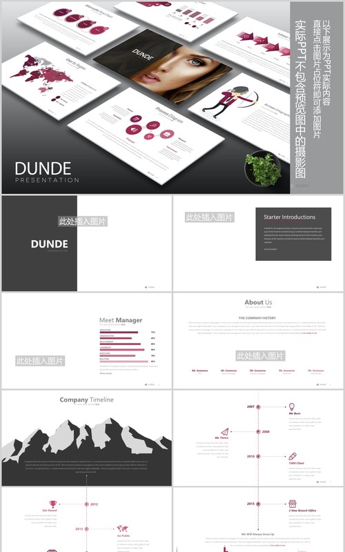紫色简约项目宣传介绍可视化图表PPT图片排版设计模板Dunde Powerpoint