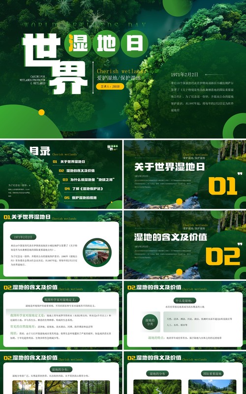 绿色简约风世界湿地日介绍PPT模板