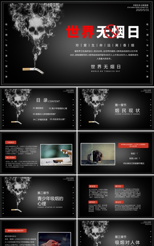 世界无烟日宣传介绍PPT 模板