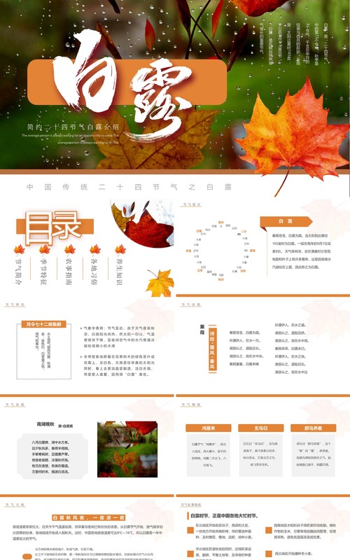橙色简约风传统二十四节气之白露PPT模板