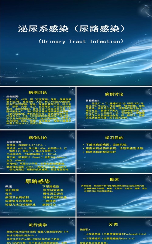 简约泌尿系尿路感染护理查房PPT模板
