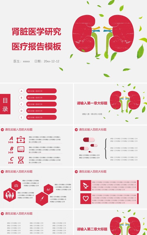 肾脏医学PPT模板