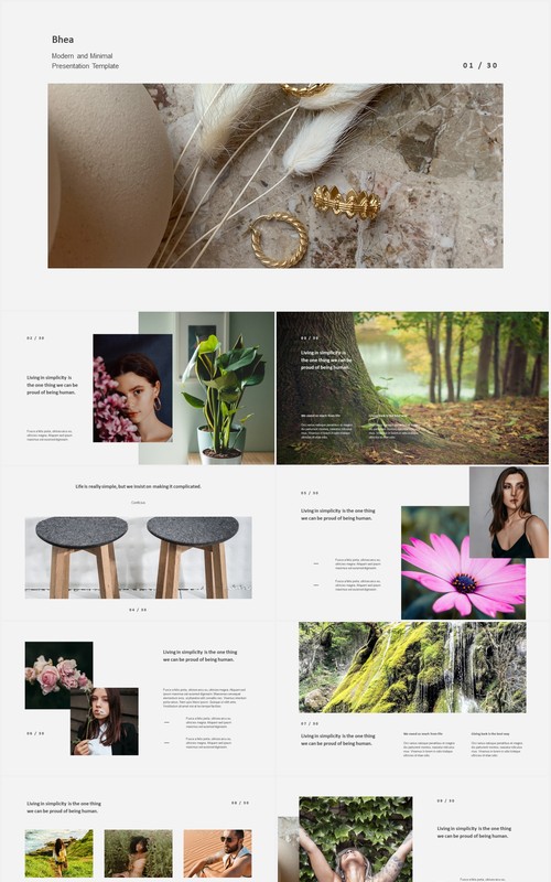 简洁电子照片展示PPT模板bhea simple powerpoint template