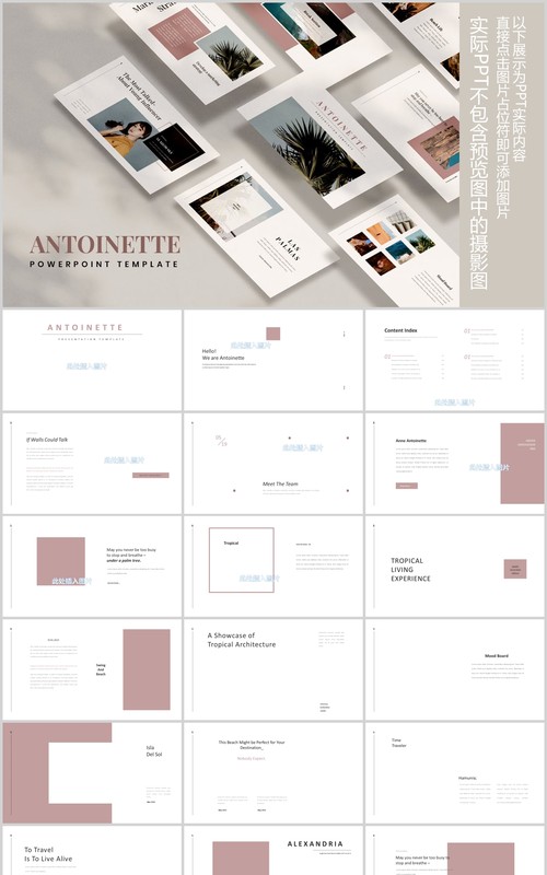 时尚图片排版设计PPT模板Antoinette Powerpoint