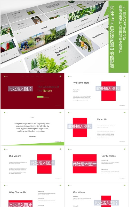 绿色蔬菜图片版式设计PPT模板Vegetables Powerpoint Template