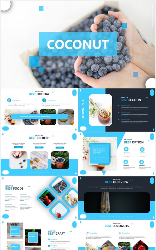 国外蓝色简约信息图表PPT模板coconut powerpoint template
