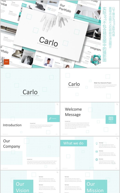 公司简介PPT模板carlo powerpoint template