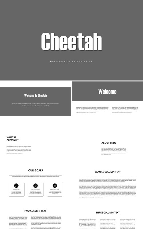 Cheetah Presentation (image not include)