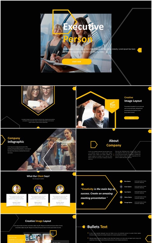 管理层领导项目报告总结汇报PPT图表素材模板executive person powerpoint template