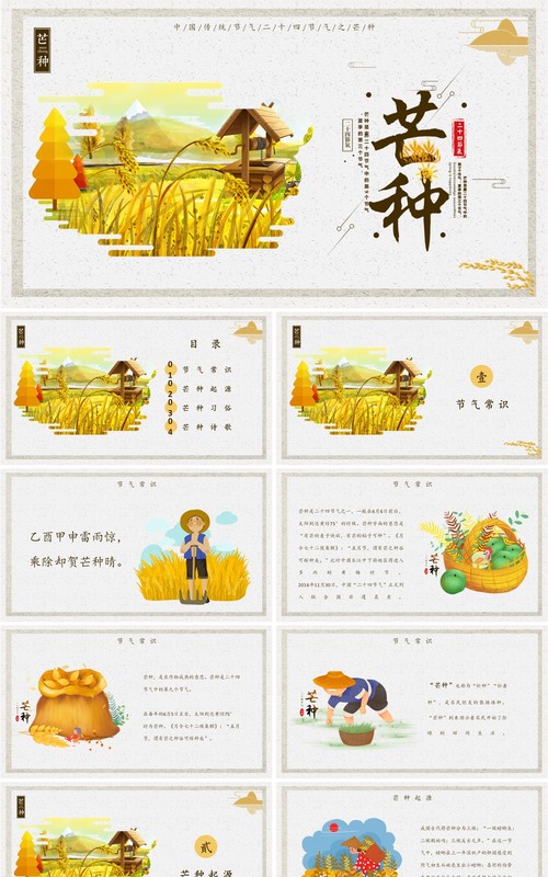 黄色二十四节气之芒种节气介绍主题班会PPT模板