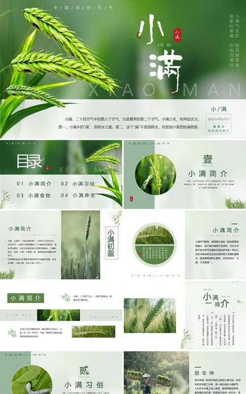 绿色中国风二十四节气之小满PPT模板
