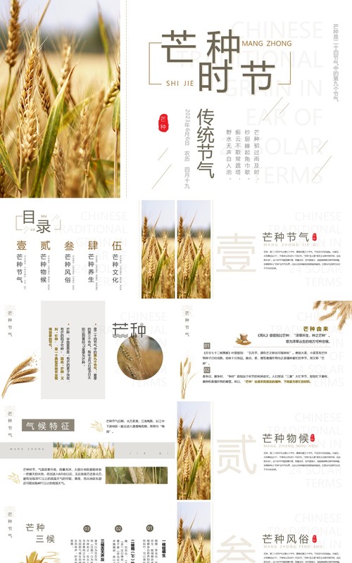 清新简约中国风传统节气之芒种PPT模板