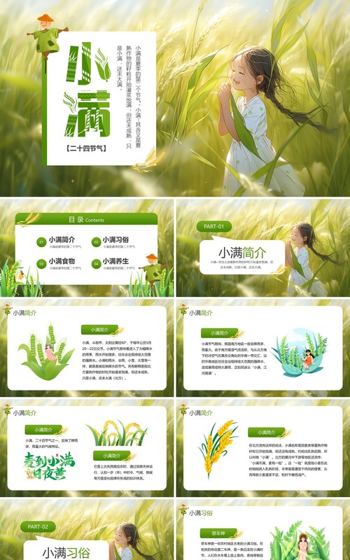 绿色插画风二十四传统小满节气PPT模板