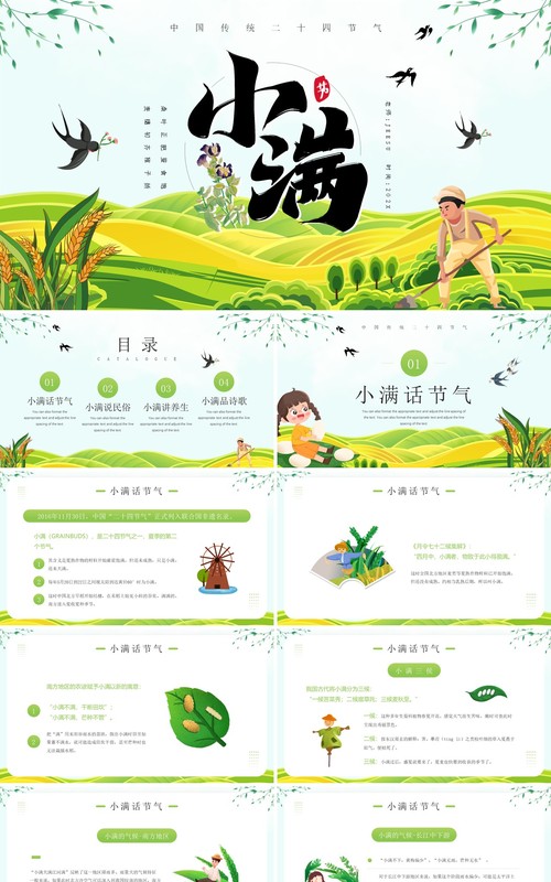 绿色卡通风二十四节气之小满PPT模板