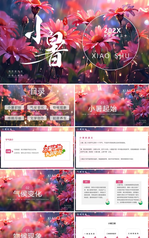 粉色插画风二十四节气之小暑介绍PPT模板