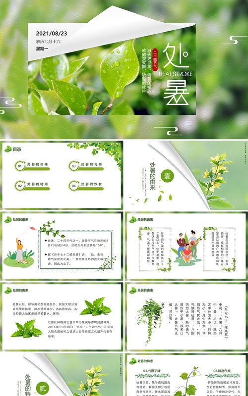 绿色小清新中国传统节日二十四节气处暑节日介绍PPT模板