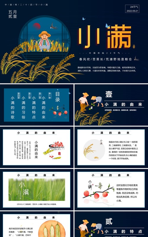 卡通中国风小满节气活动策划PPT模板