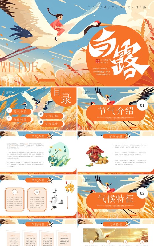 橙色插画风二十四节气之白露介绍PPT模板