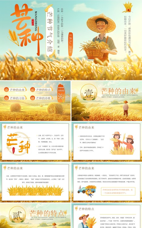 黄色插画风二十四节气之芒种介绍PPT模板