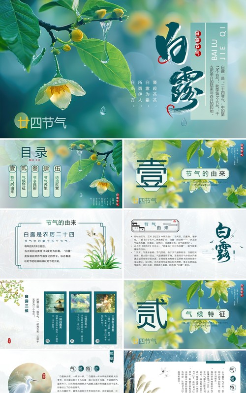 绿色插画清新风二十四节气之白露PPT模板
