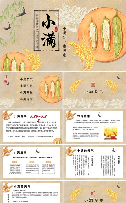 中国风卡通手绘传统二十四节气小满PPT模板