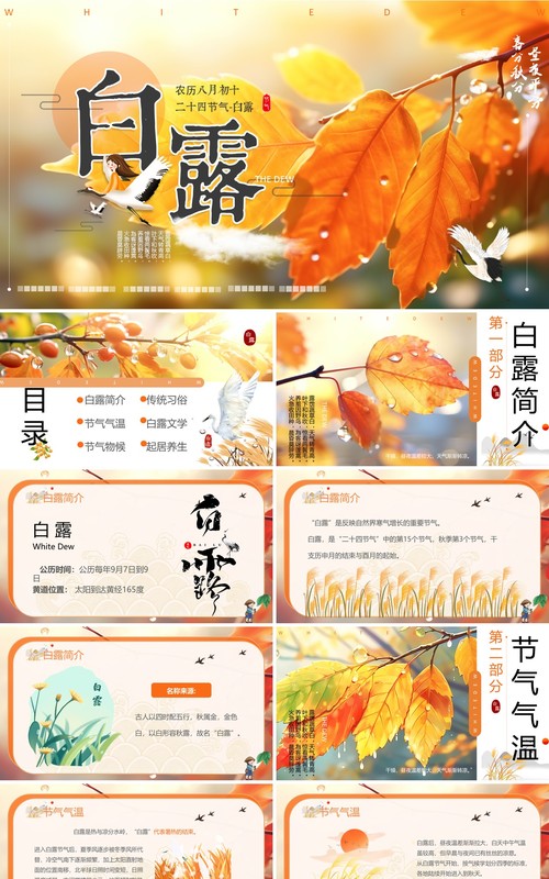 橙色插画风二十四节气之白露PPT模板